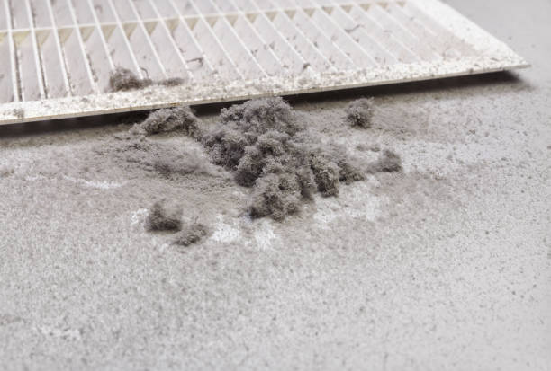 Best Affordable Air Duct Cleaning  in Manawa, WI