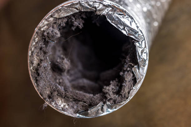 Best Air Duct Cleaning Company Near Me  in Manawa, WI